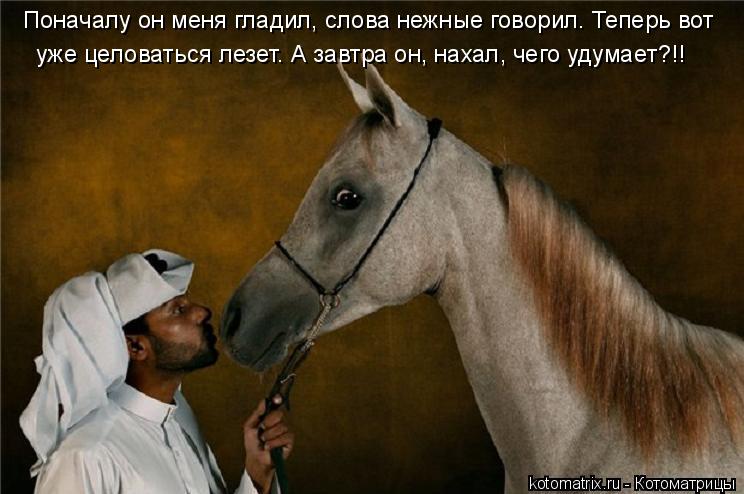 Поначалу он меня гладил, слова нежные говорил. Теперь вот уже целоваться лезет. А завтра он, нахал, ... Котоматрица: Поначалу он меня гладил, слова нежные говорил. Теперь вот уже целоваться лезет. А завтра он, нахал, чего удумает?!!