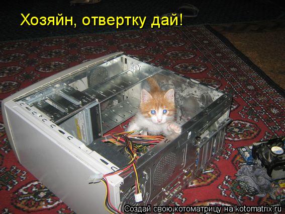 Хозяйн, отвертку дай!... Котоматрица: Хозяйн, отвертку дай!