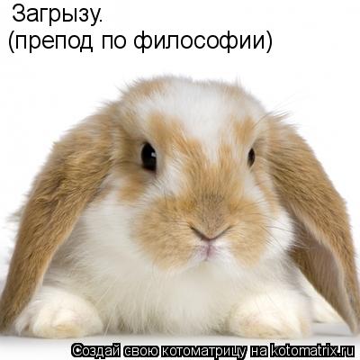 Загрызу. (препод по философии)... Котоматрица: Загрызу. (препод по философии)