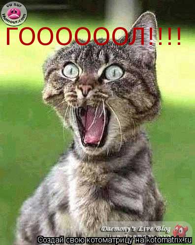 ГООООООЛ!!!!... Котоматрица: ГООООООЛ!!!!