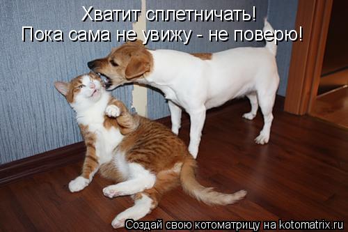 Котоматрица: Хватит сплетничать! Пока сама не увижу - не поверю!
