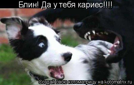 Котоматрица: Блин! Да у тебя кариес!!!!
