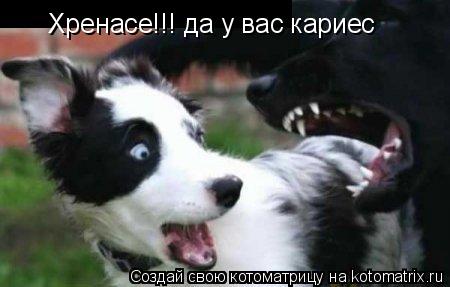Хренасе!!! да у вас кариес... Котоматрица: Хренасе!!! да у вас кариес