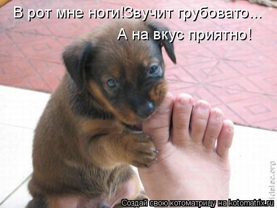В рот мне ноги!Звучит грубовато... А на вкус приятно!... Котоматрица: В рот мне ноги!Звучит грубовато... А на вкус приятно!