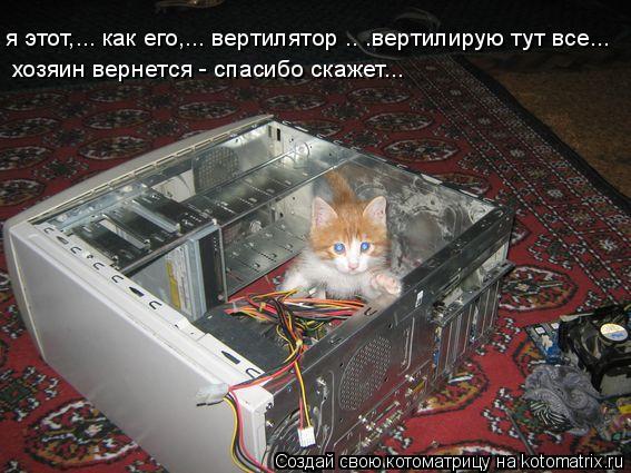 я этот,... как его,... вертилятор .. .вертилирую тут все... хозяин вернется - спасибо скажет...... Котоматрица: я этот,... как его,... вертилятор .. .вертилирую тут все... хозяин вернется - спасибо скажет...