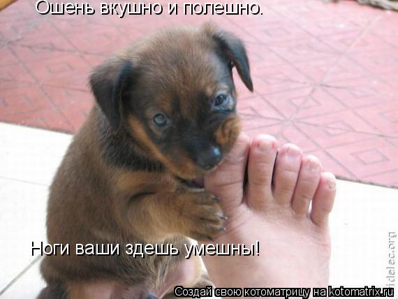 Ошень вкушно и полешно. Ноги ваши здешь умешны!... Котоматрица: Ошень вкушно и полешно. Ноги ваши здешь умешны!