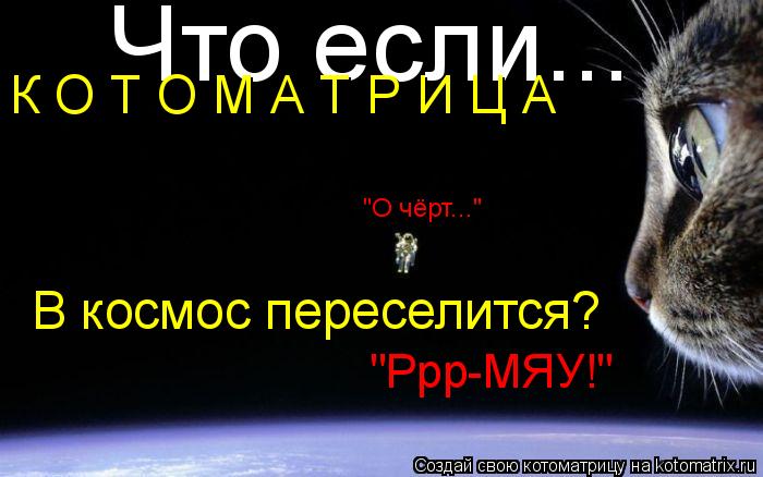 Котоматрица: Что если... К О Т О М А Т Р И Ц А В космос переселится? "О чёрт..." "Ррр-МЯУ!"