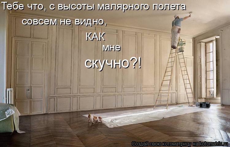 Тебе что, с высоты малярного полета совсем не видно, КАК мне скучно?!... Котоматрица: Тебе что, с высоты малярного полета совсем не видно, КАК мне скучно?!