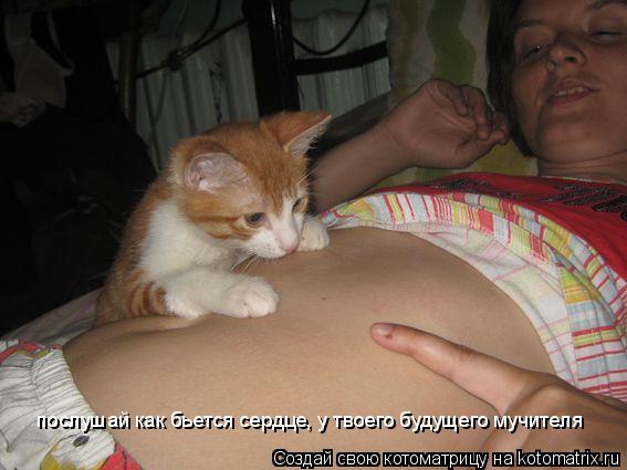 послушай как бьется сердце, у твоего будущего мучителя... Котоматрица: послушай как бьется сердце, у твоего будущего мучителя