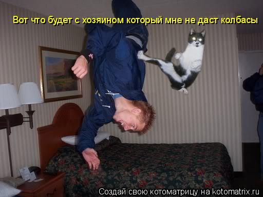 Вот что будет с хозяином который мне не даст колбасы... Котоматрица: Вот что будет с хозяином который мне не даст колбасы