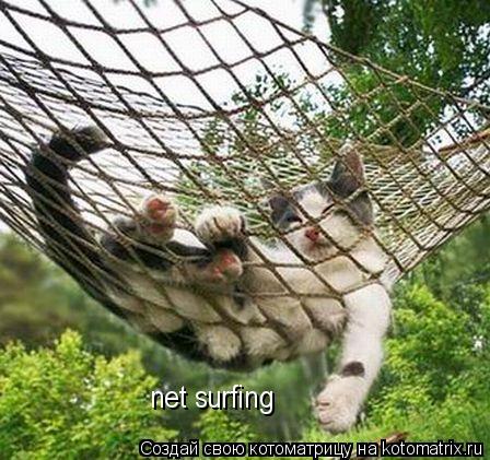 Котоматрица: net surfing