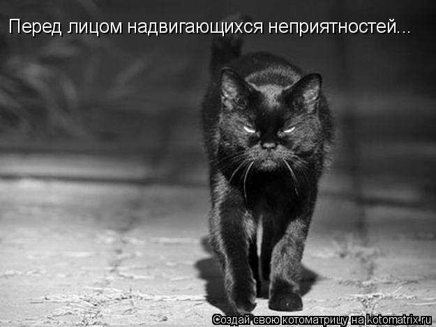 Котоматрица: Перед лицом надвигающихся неприятностей...