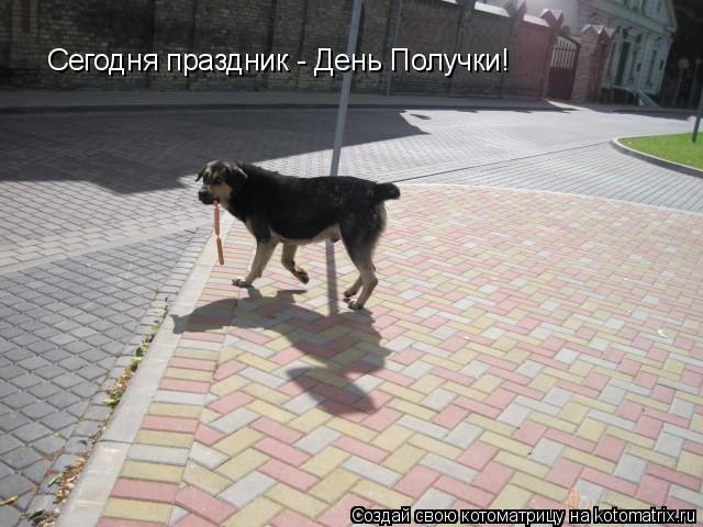 Котоматрица: Сегодня праздник - День Получки!