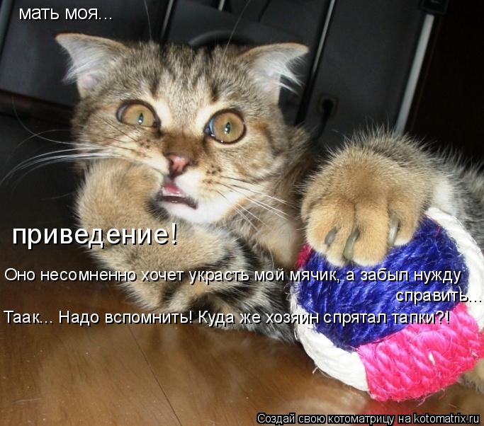 Котоматрица: мать моя... приведение! Оно несомненно хочет украсть мой мячик, а забыл нужду  справить... Таак... Надо вспомнить! Куда же хозяин спрятал тапки?!