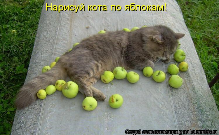 Нарисуй кота по яблокам!... Котоматрица: Нарисуй кота по яблокам!