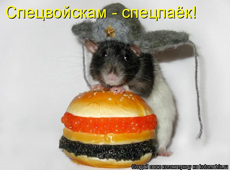 Спецвойскам - спецпаёк!... Котоматрица: Спецвойскам - спецпаёк!