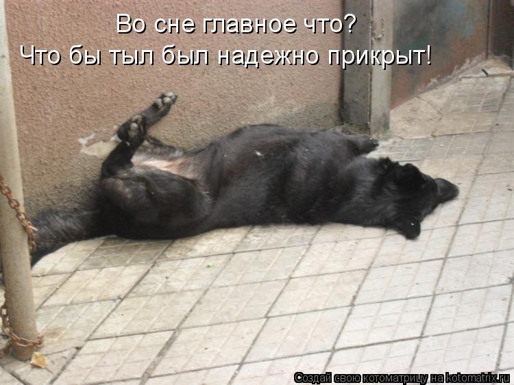 Во сне главное что? Что бы тыл был надежно прикрыт!... Котоматрица: Во сне главное что? Что бы тыл был надежно прикрыт!