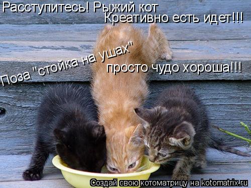 Расступитесь! Рыжий кот Креативно есть идет!!! Поза "стойка на ушах" просто чудо хороша!!!... Котоматрица: Расступитесь! Рыжий кот Креативно есть идет!!! Поза "стойка на ушах" просто чудо хороша!!!