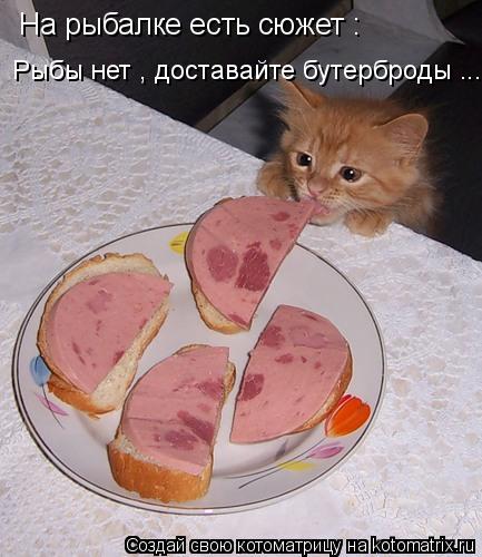На рыбалке есть сюжет : Рыбы нет , доставайте бутерброды ...... Котоматрица: На рыбалке есть сюжет : Рыбы нет , доставайте бутерброды ...