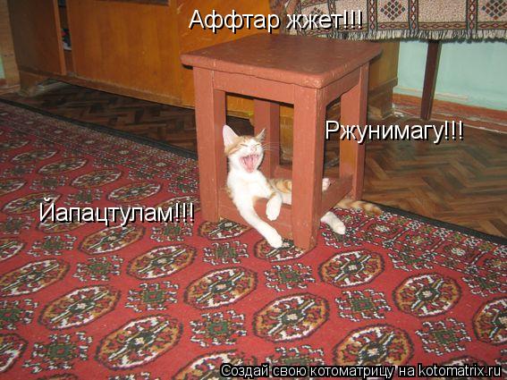 Ржунимагу!!! Йапацтулам!!! Аффтар жжет!!!... Котоматрица: Ржунимагу!!! Йапацтулам!!! Аффтар жжет!!!