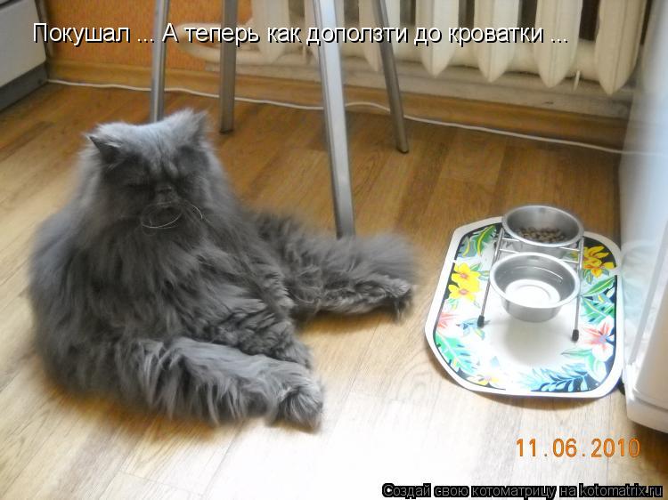 Покушал ... А теперь как доползти до кроватки ...... Котоматрица: Покушал ... А теперь как доползти до кроватки ...