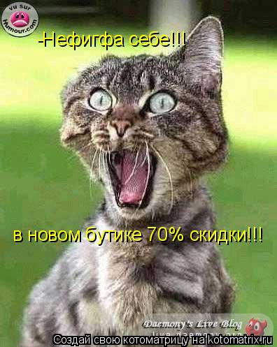 -Нефигфа себе!!! в новом бутике 70% скидки!!!... Котоматрица: -Нефигфа себе!!! в новом бутике 70% скидки!!!