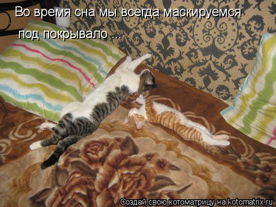 Во время сна мы всегда маскируемся под покрывало ...... Котоматрица: Во время сна мы всегда маскируемся под покрывало ...