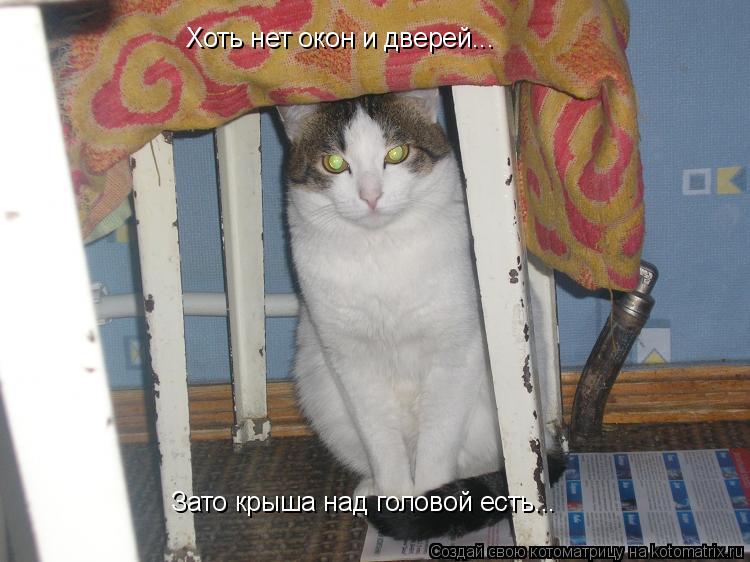 Хоть нет окон и дверей... Зато крыша над головой есть... Хоть нет окон и дверей...... Котоматрица: Хоть нет окон и дверей... Зато крыша над головой есть... Хоть нет окон и дверей...