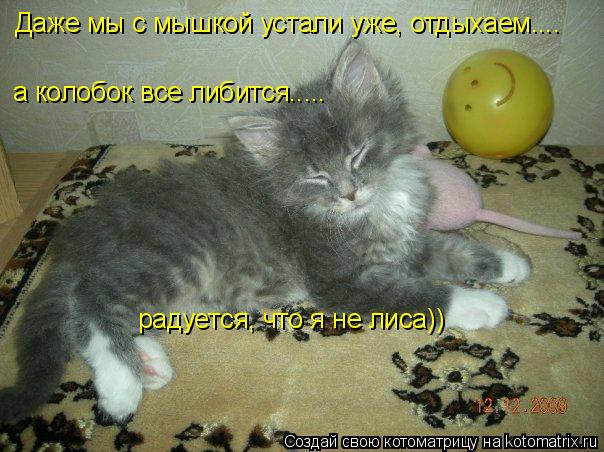 Даже мы с мышкой устали уже, отдыхаем.... а колобок все либится....... Котоматрица: Даже мы с мышкой устали уже, отдыхаем.... а колобок все либится..... радуется, что я