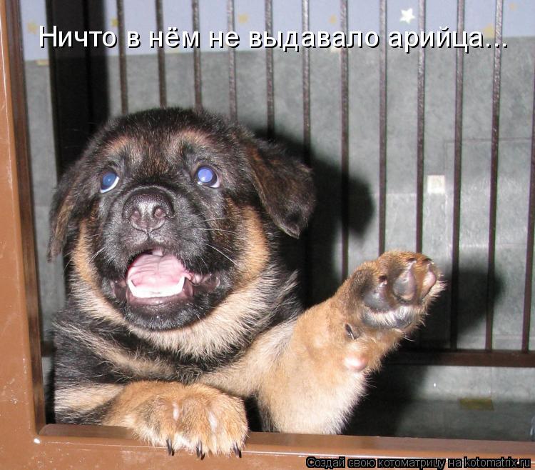 Ничто в нём не выдавало арийца...... Котоматрица: Ничто в нём не выдавало арийца...