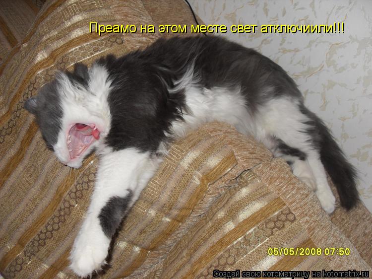 Котоматрица: Преамо на этом месте свет атключиили!!!