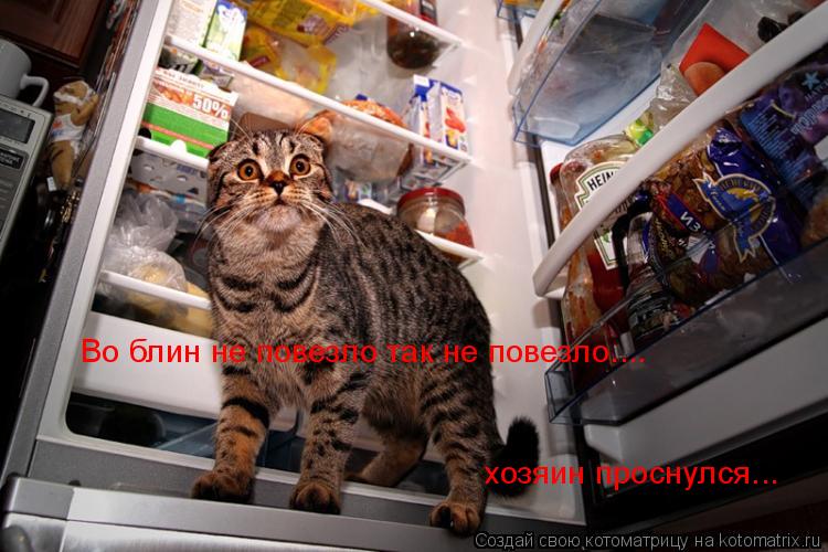 Котоматрица: Во блин не повезло так не повезло.... хозяин проснулся...