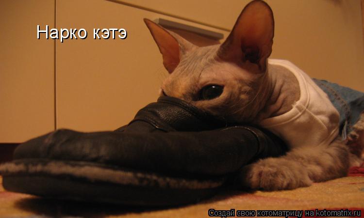 Нарко кэтэ... Котоматрица: Нарко кэтэ
