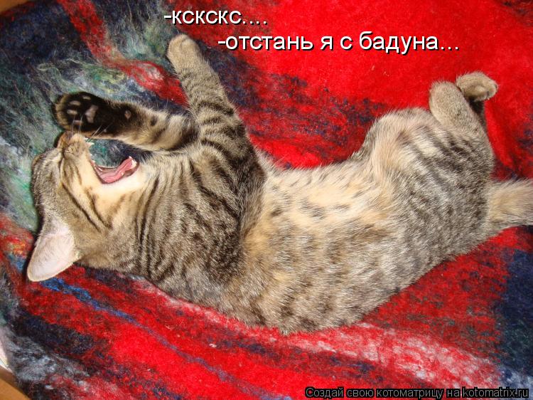 -кскскс.... -отстань я с бадуна...... Котоматрица: -кскскс.... -отстань я с бадуна...
