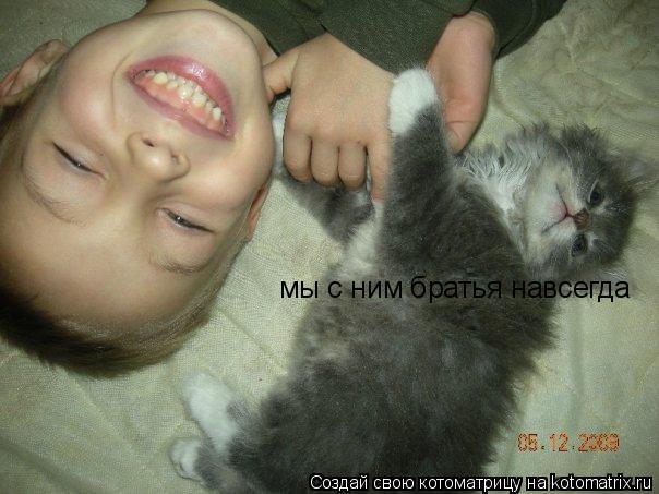 мы с ним братья навсегда... Котоматрица: мы с ним братья навсегда