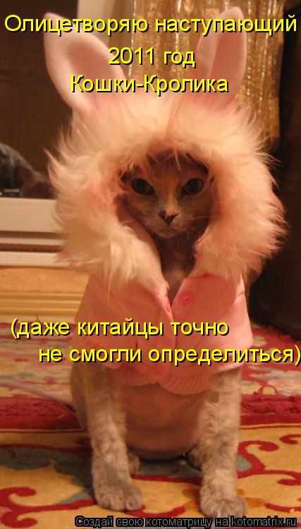 Олицетворяю наступающий 2011 год Кошки-Кролика (даже китайцы точно не смогли определиться)... Котоматрица: Олицетворяю наступающий 2011 год Кошки-Кролика (даже китайцы точно не смогли определиться)