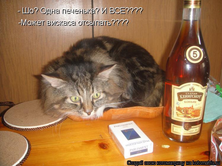 - Шо? Одна печенька? И ВСЕ???? -Может вискаса отсыпать????... Котоматрица: - Шо? Одна печенька? И ВСЕ???? -Может вискаса отсыпать????