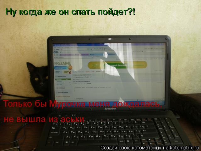 Котоматрица: Ну когда же он спать пойдет?! Только бы Мурочка меня дождалась, не вышла из аськи