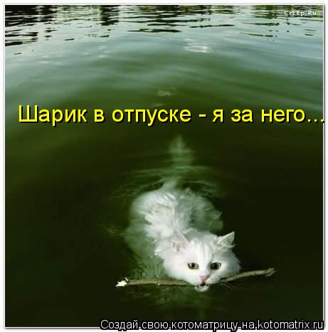 Котоматрица: Шарик в отпуске - я за него...