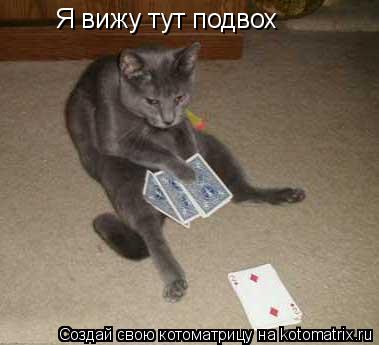 Котоматрица: Я вижу тут подвох