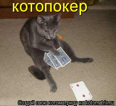 Котоматрица: котопокер