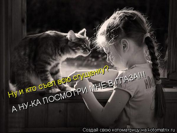 Ну и кто съел всю сгущенку? А НУ-КА ПОСМОТРИ МНЕ В ГЛАЗА!!!... Котоматрица: Ну и кто съел всю сгущенку? А НУ-КА ПОСМОТРИ МНЕ В ГЛАЗА!!!