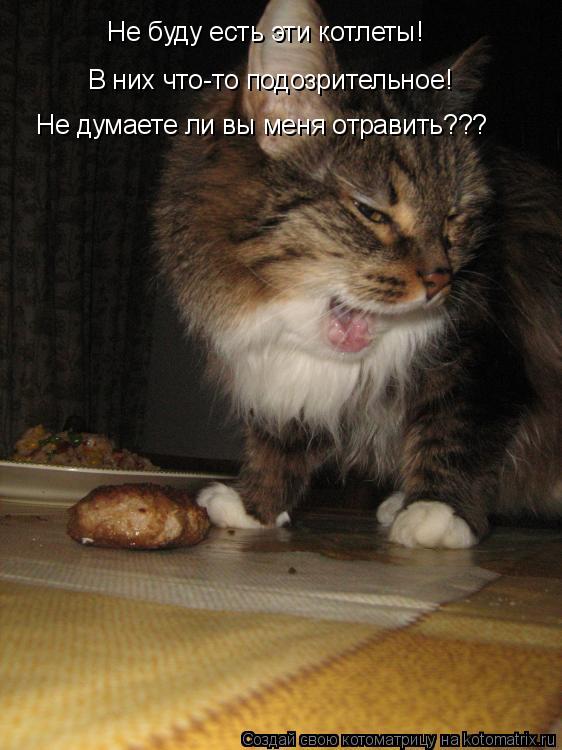 Не буду есть эти котлеты! В них что-то подозрительное! Не думаете ли вы меня отравить???... Котоматрица: Не буду есть эти котлеты! В них что-то подозрительное! Не думаете ли вы меня отравить???