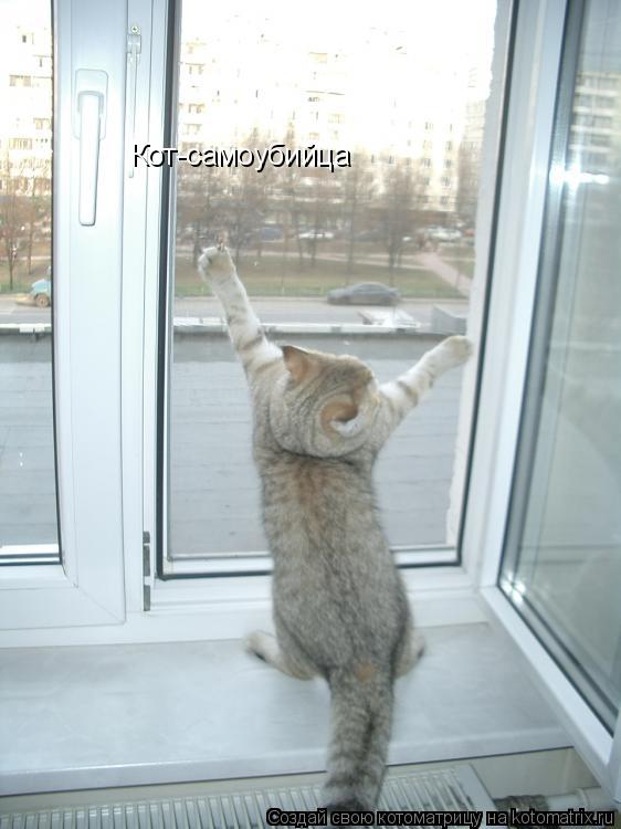Кот-самоубийца... Котоматрица: Кот-самоубийца