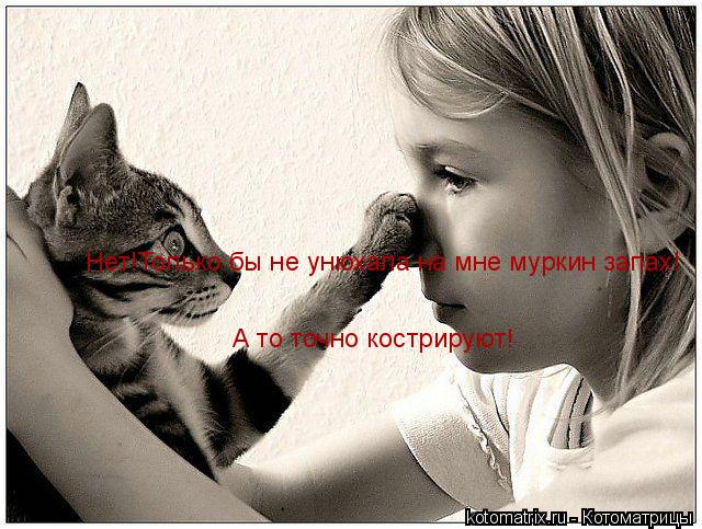 Нет!Только бы не унюхала на мне муркин запах! А то точно кострируют!... Котоматрица: Нет!Только бы не унюхала на мне муркин запах! А то точно кострируют!