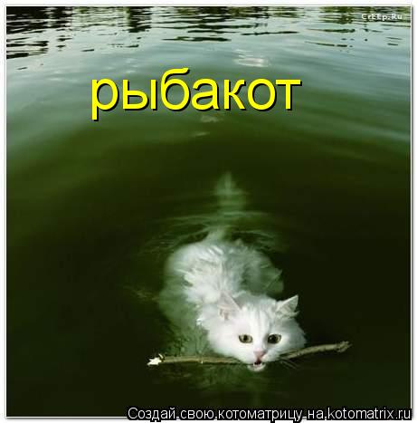 рыбакот... Котоматрица: рыбакот