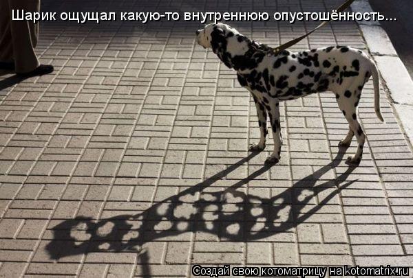 Шарик ощущал какую-то внутреннюю опустошённость...... Котоматрица: Шарик ощущал какую-то внутреннюю опустошённость...