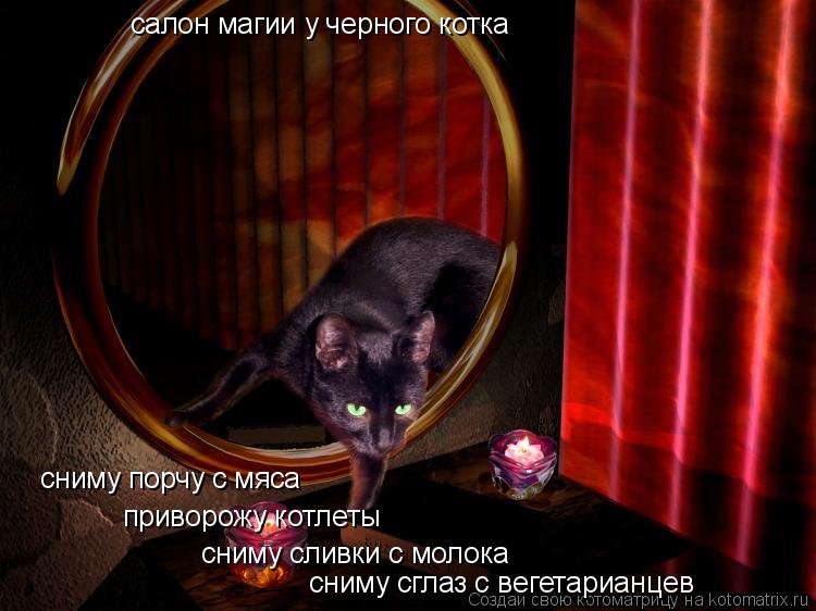 Котоматрица: салон магии у черного котка сниму порчу с мяса приворожу котлеты сниму сливки с молока сниму сглаз с вегетарианцев