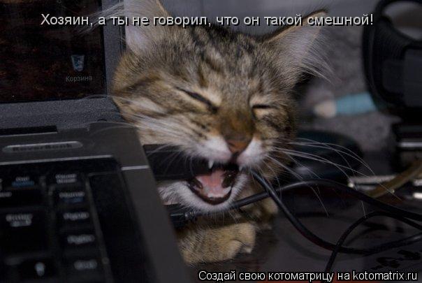 Хозяин, а ты не говорил, что он такой смешной!... Котоматрица: Хозяин, а ты не говорил, что он такой смешной!