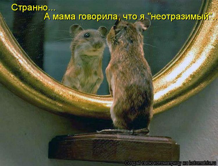 Странно... А мама говорила, что я "неотразимый"...... Котоматрица: Странно... А мама говорила, что я "неотразимый"...